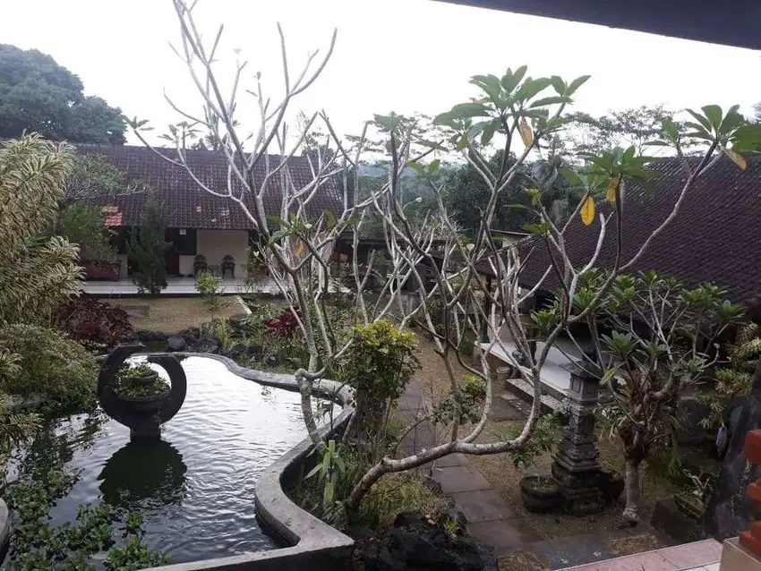 rumah bali dijual murah di kota bangli bali