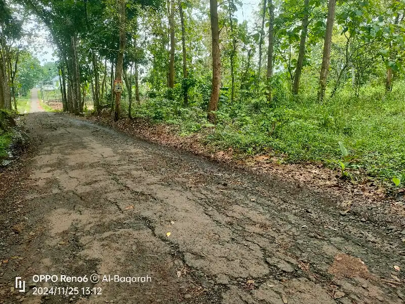 TANAH MURAH KALIBAGOR COCOK UNTUK CLUSTER