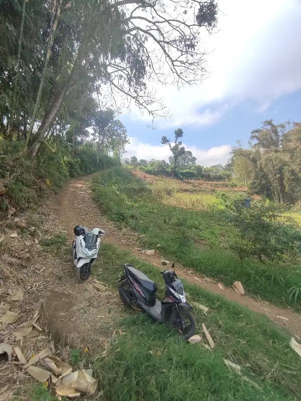 Tanah Kebun Subur Cocok Buat Kandang Ayam Di Donowarih Singosari