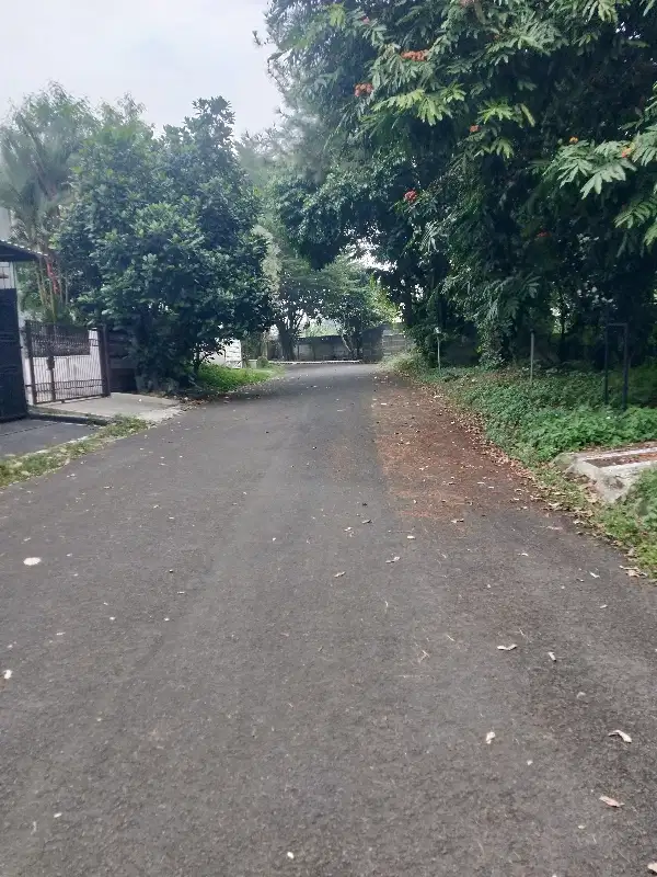 Kav setengah NJOP ,dkt Jungle BNR Bogor