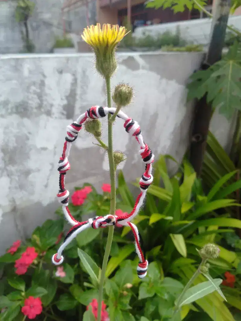 Gelang 7 simpul kombinasi tridatu