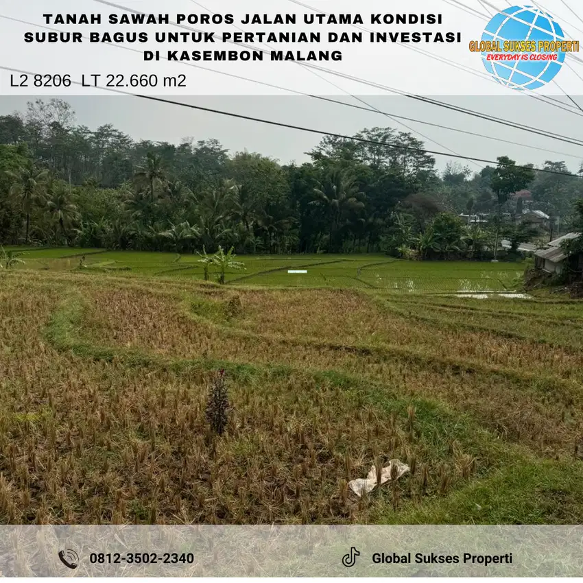 Tanah Sawah Di Poros Jalan Kondisi Subur Utk Tani Dan Inves Di Malang