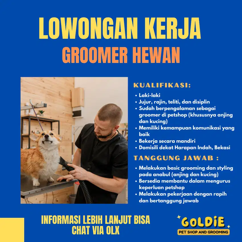 LOKER GROOMER ANJING DAN KUCING BEKASI