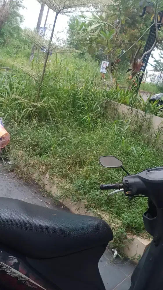 Tukang Kebun Tukang koret rumput nanam² dll