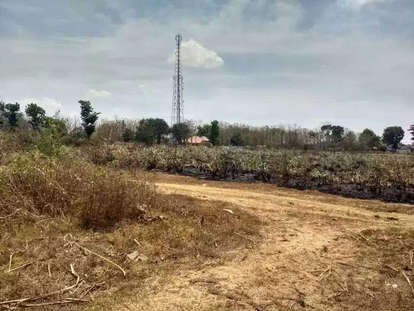 Tanah strategis zona merah jalan raya solo purwodadi