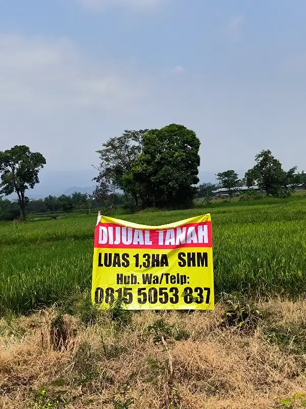 dijual tanah di Pasuruan purwosari sukodermo cocok untuk industri