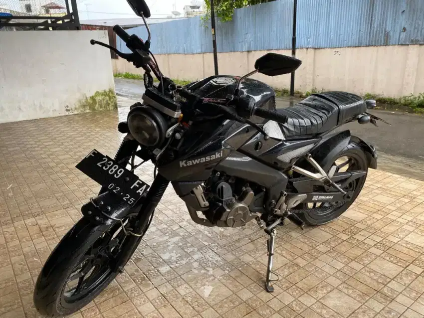 Kawasaki Pulsar NS 200 Full Costum