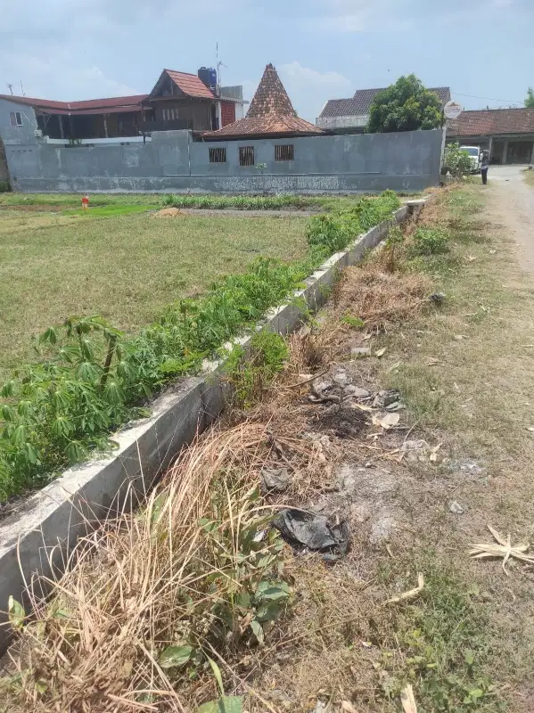 BU! MURAH! Tanah SHM Bagus Area Bantul Dekat Desa Wisat Kasongan