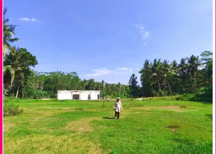 Tanah Murah di Donomulyo, Jogja