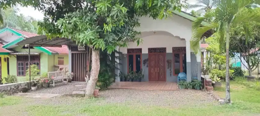 Rumah di Pedesaan, 1 lantai, jalan lintas Labuhanbatu Selatan