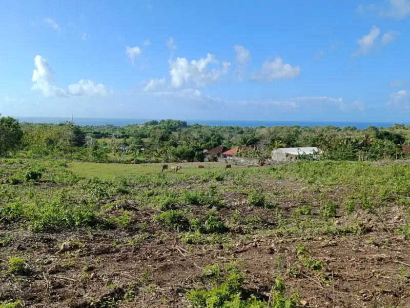 Jual tanah view laut di  Belimbing sari pecatu Bali