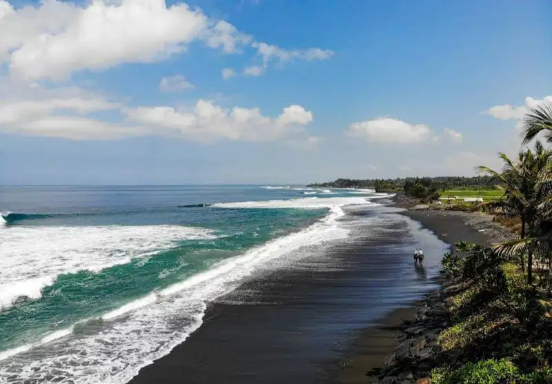 dijual tanah los pantai saba gianyar harga nego