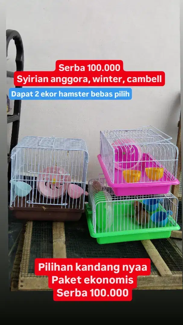 Paket ekonomis kandang 2 hamster syirian cambell winter marmut kelinci