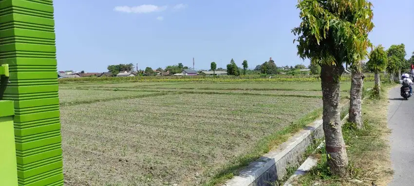 Tanah Sawah SHM di PAkunden -cocok juga untuk perumahan/pabrik