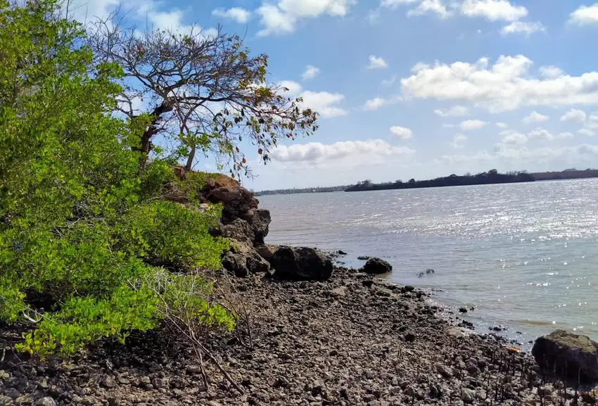 Tanah tebing loss pantai di jerowaru dekat pantai pink