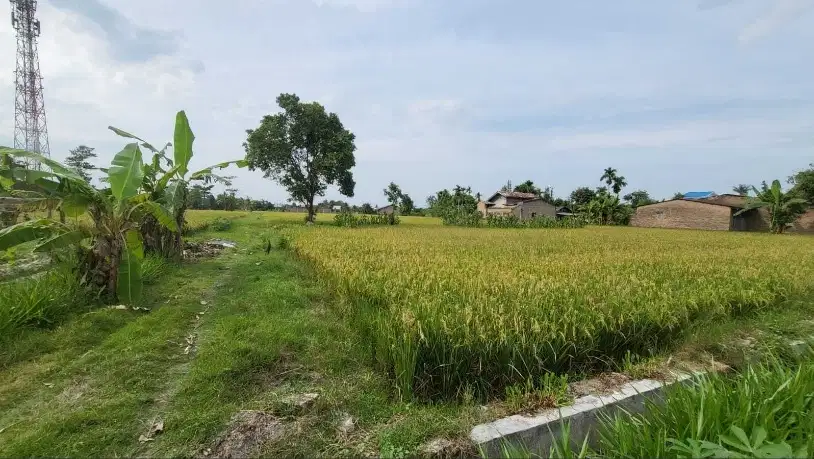 TANAH 1,7 HEKTAR, AREA LESTARI - KUALA NAMU, NEGO