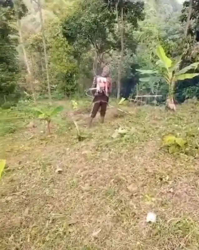 DIJUAL KEBUN BUAH PANEN TIAP TAHUN DI KARAWANG