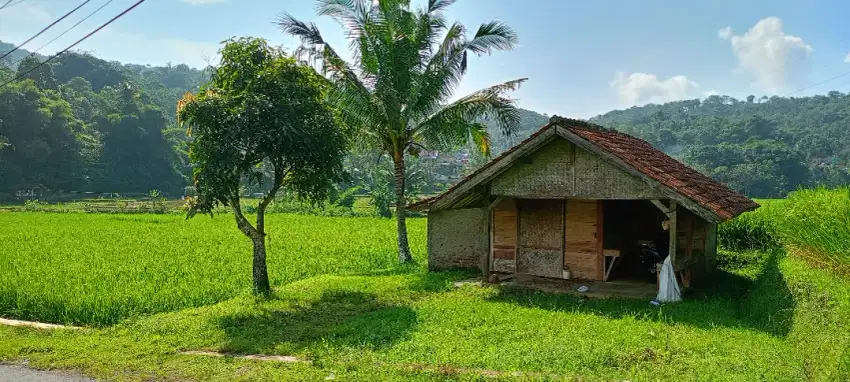 Sawah anu enakeun