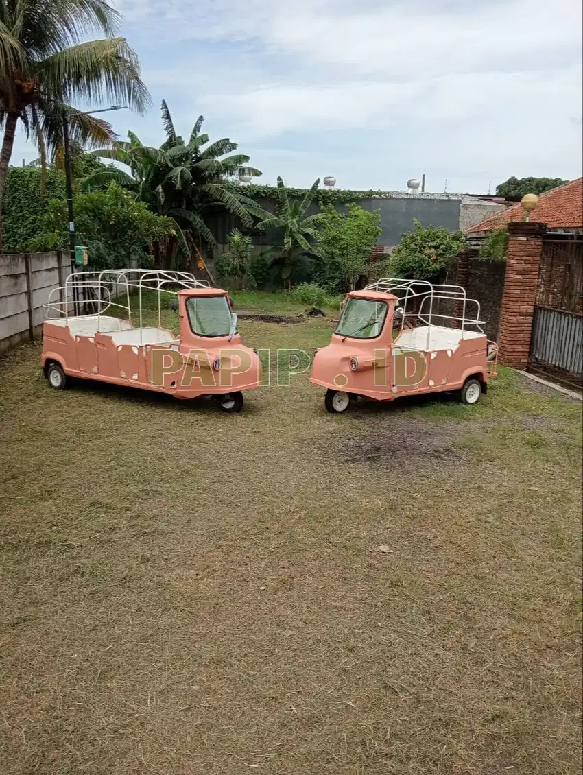 Custom Tvs Karoseri Mini Food Truck