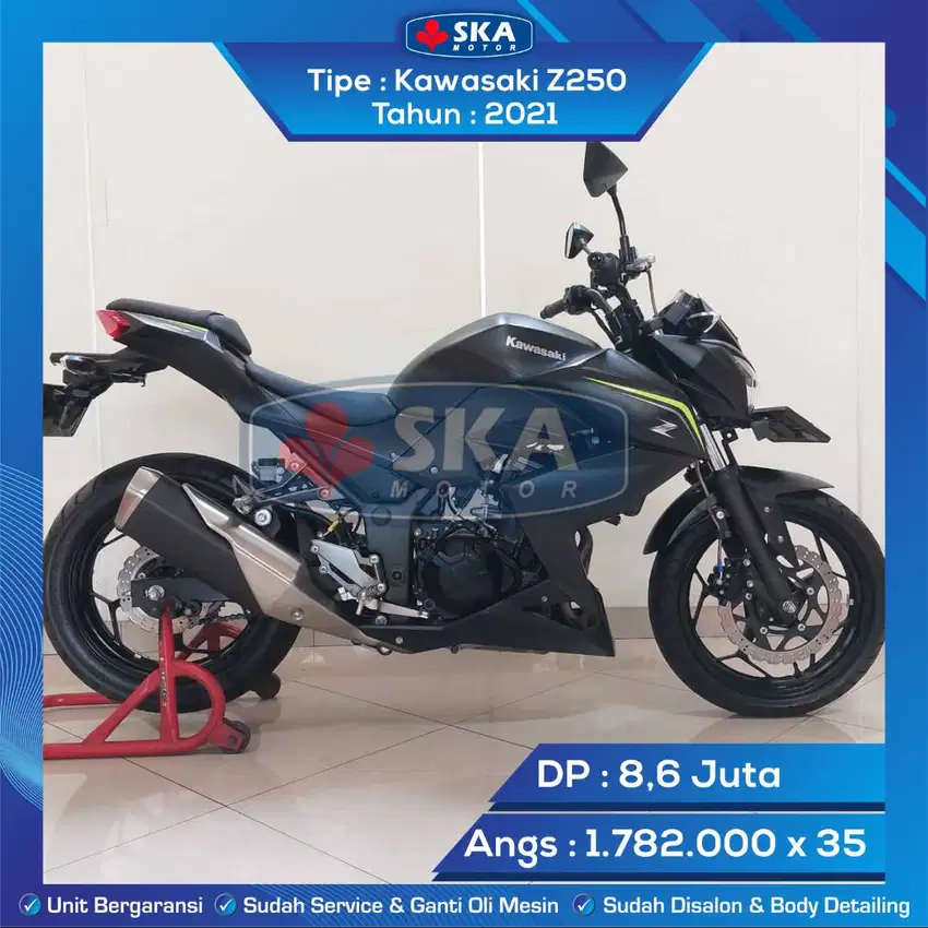 Kawasaki Z250 Tahun 2021