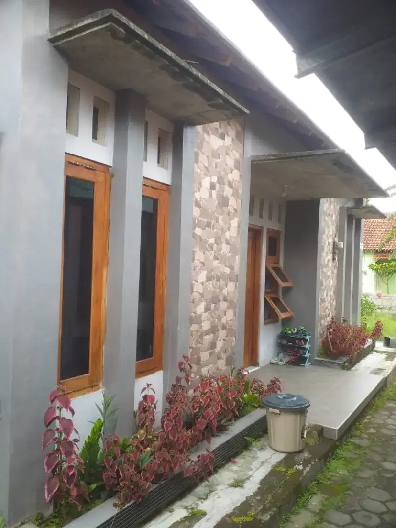 Disewakan Kontrakan Tahunan Rumah Maguwo