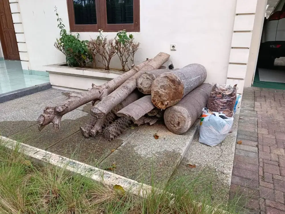 Potongan Batang Pohon - Bandung