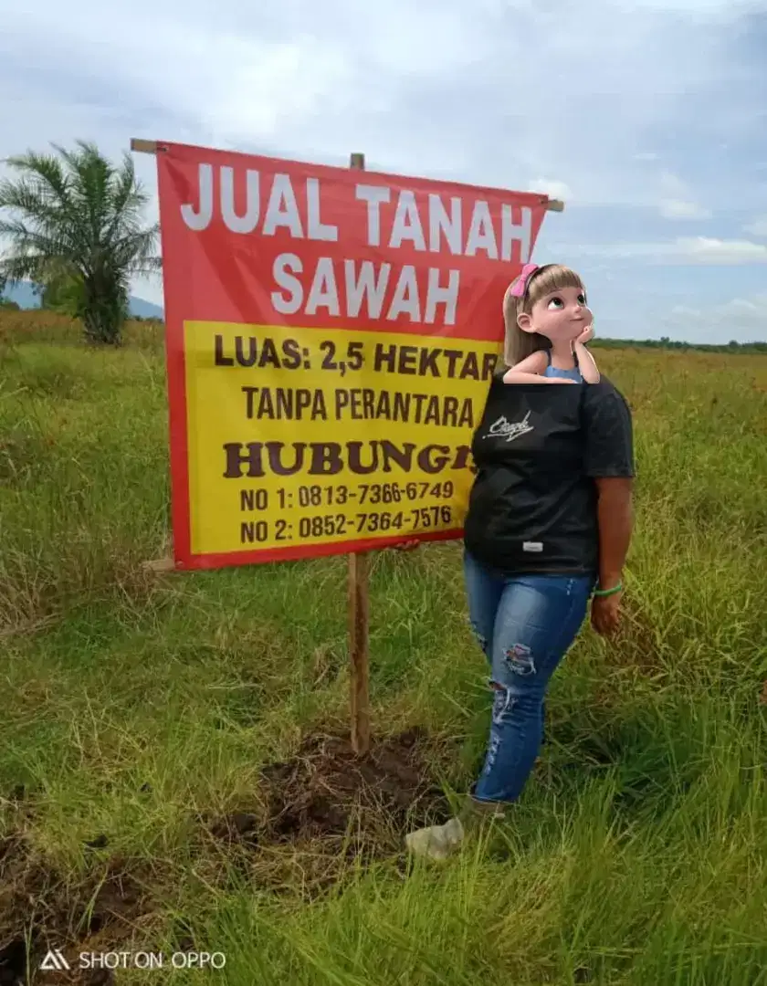 Dijual Tanah Sawah,Harga Terbaik Dibawah Harga Pasaran