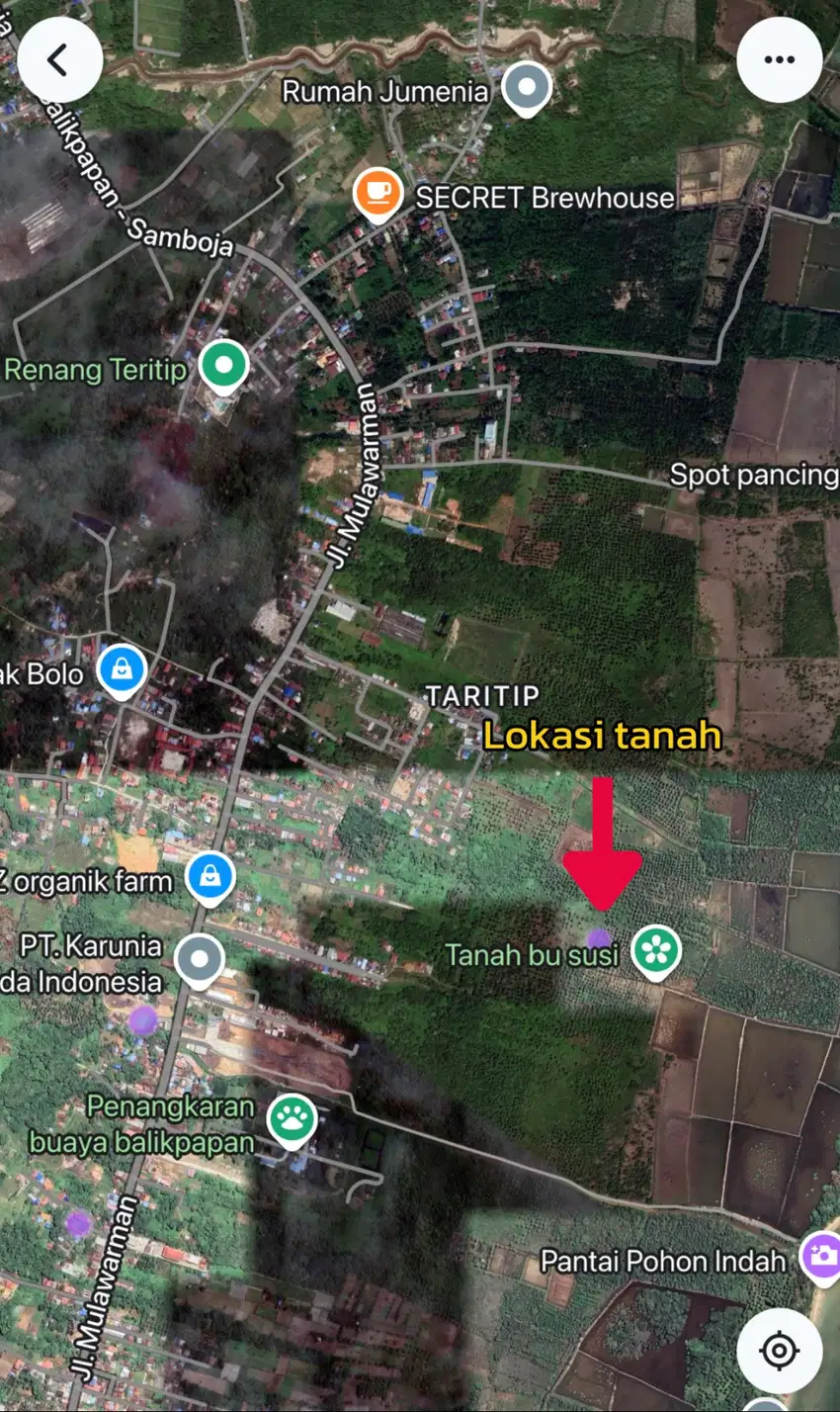 Dijual Ex Kebun Kelapa Teritib12.000 meter persegi