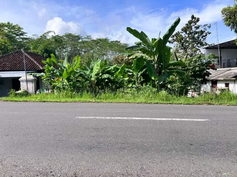 Dijual tanah strategis tepi jalan raya dikarangpandan