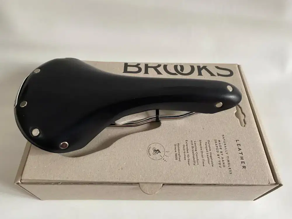 BROOKS Swallow Chrome