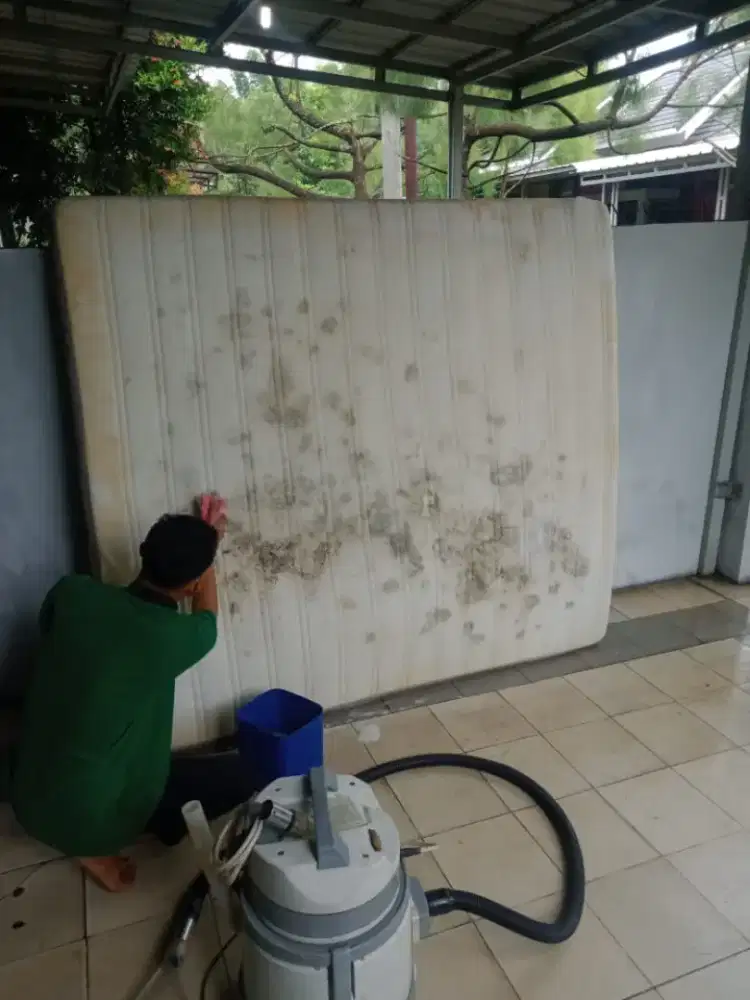 Jasa cuci kasur matras bed sofa menghilangkan tungau dan noda.