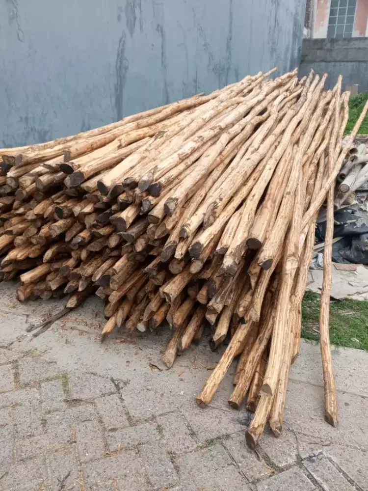 Kayu dolken puspa kupas 4,5,6