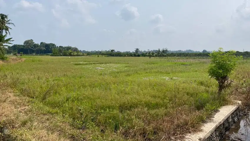 SAWAH PRODUKTIF