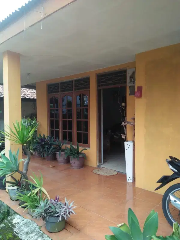 dijual Rumah Siap Huni  Dusun Patrol Jln Cagak Subang SHM 400 Jt /Nego