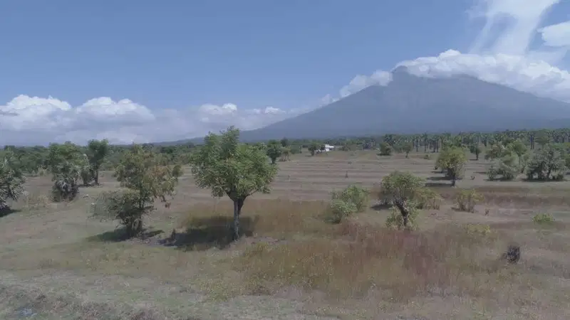 Tanah karangasem tulamben bali.