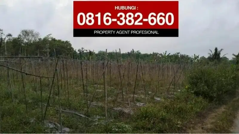 Dijual tanah 1000m2 dekat Tahu Sumedang di Lembak Muara Enim