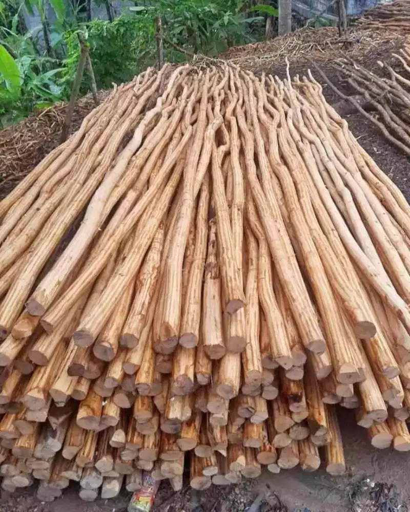 Kayu dolken pusapa kupasan dimeter 5,6,7