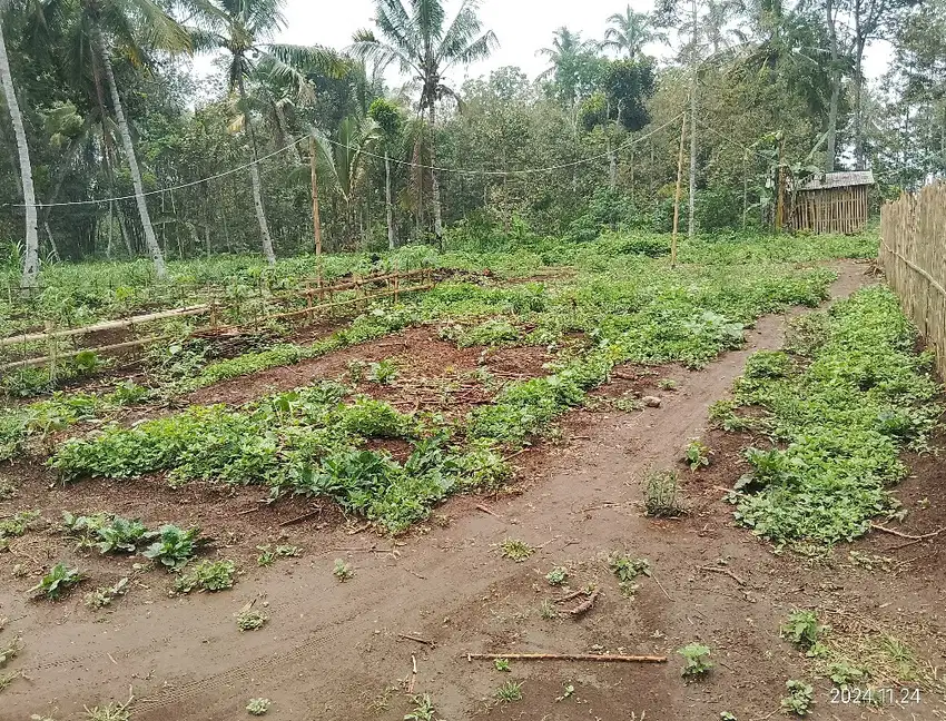 Tanah kavling siap bangun lokasi jabung