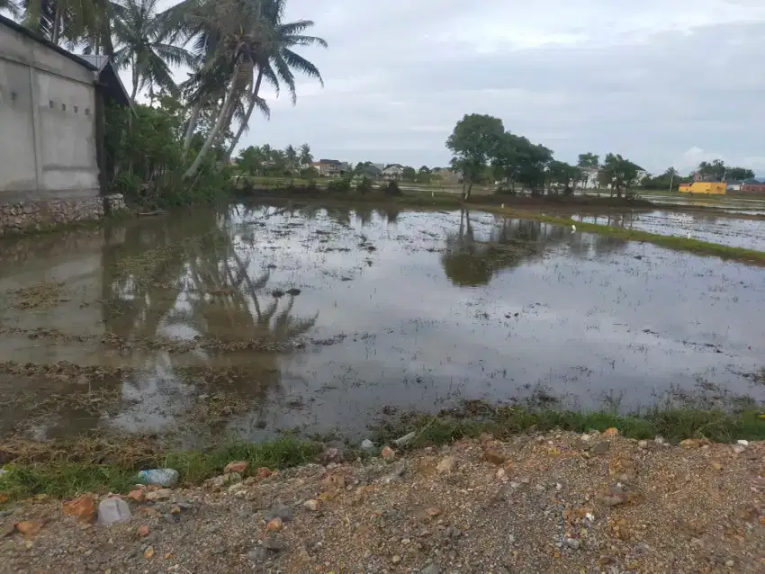 Jual tanah sawah cocok buat perumahan