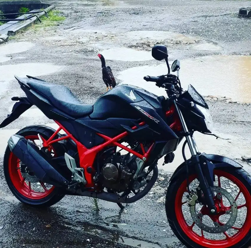 jual cb 150 r standar