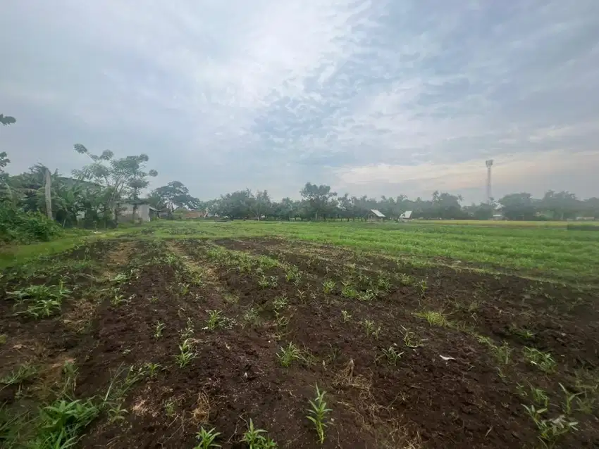 Tanah luas di Kabupaten Bekasi