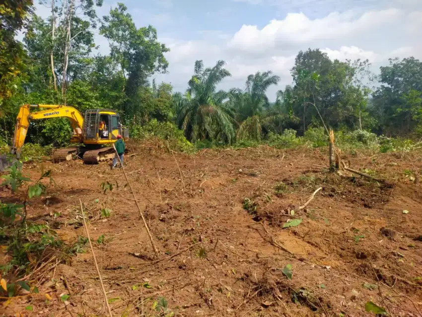 Jual tanah kapling tepi as Sengeti