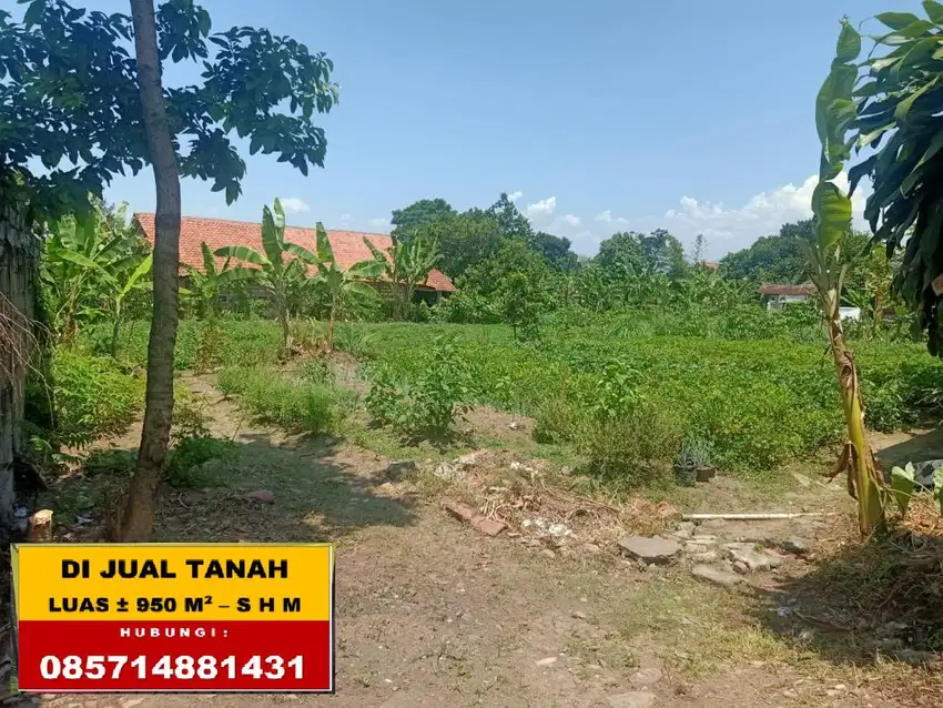 DIJUAL CEPAT TANAH MURAH DEKAT PERUMAHAN BNR & JUNGLE PARK BOGOR