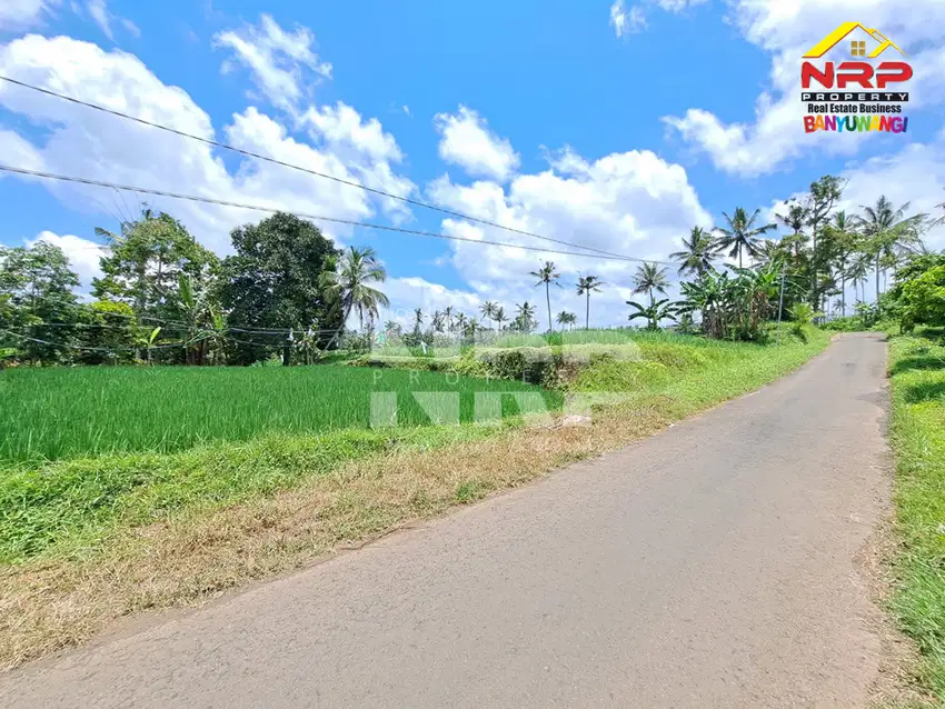 Dijual Tanah Persawahan di Desa Licin - Banyuwangi