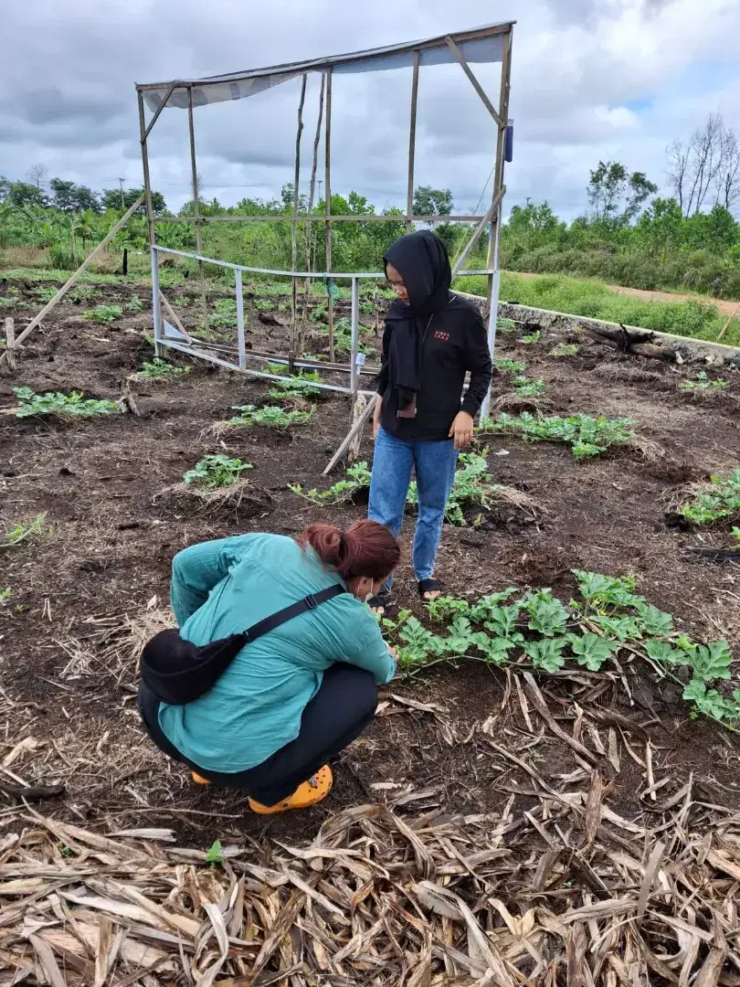 Kavling Kecil Terawat