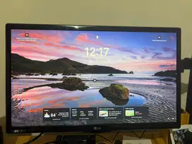 Monitor LG 22 inch