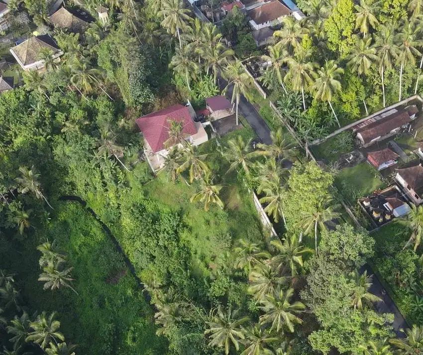 Dijual Tanah, Akses Mudah ke Berbagai Destinasi Populer di Gianyar