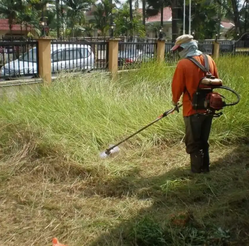 Jasa potong rumput