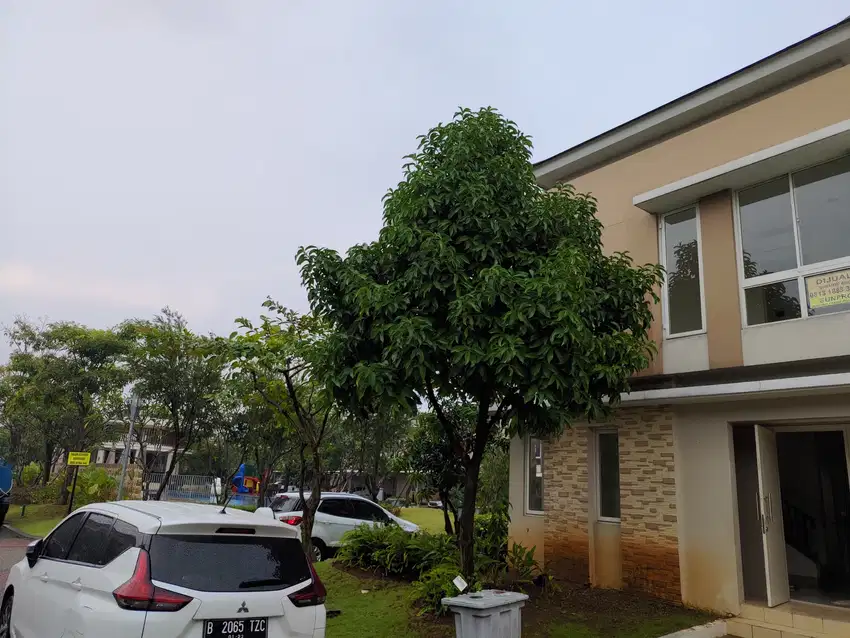 Sewa Rumah 2 Kamar + Kolam Renang + Cluster luas + Hoek Gading Serpong