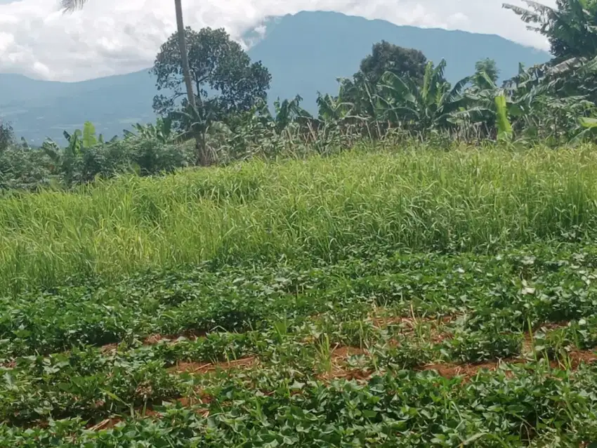 Tanah rata view lepas ke gunung untuk villa ataupun rumah